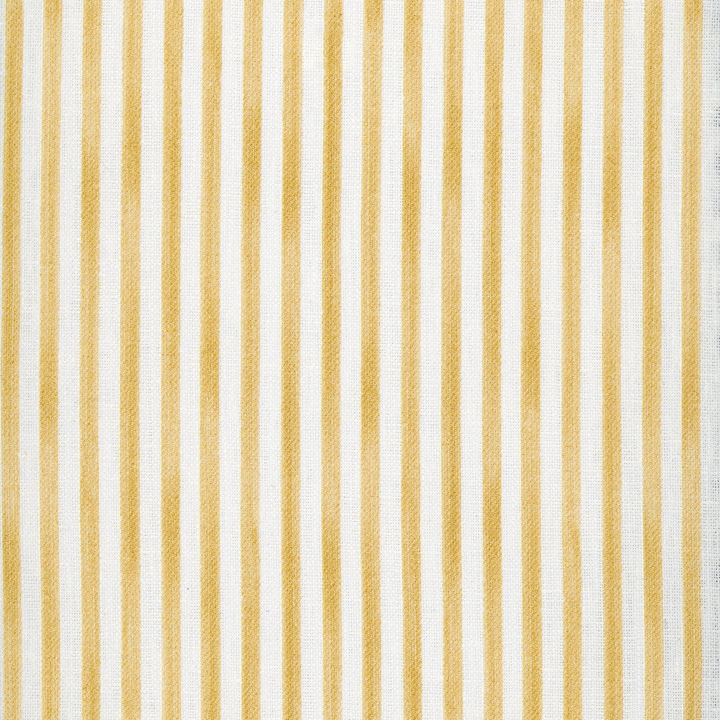 Painted Pin Stripe - Marigold