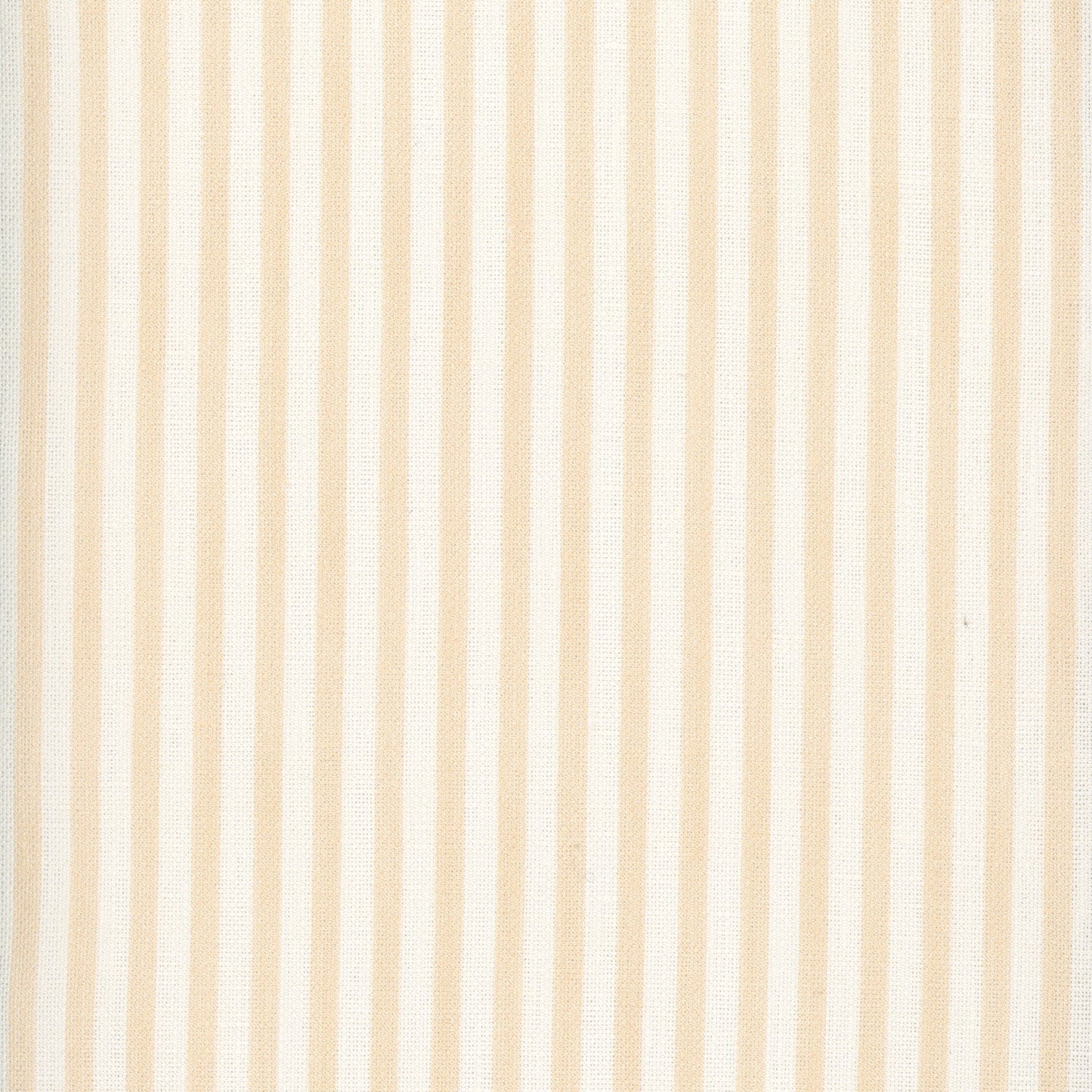 Painted Pin Stripe - Sorbet