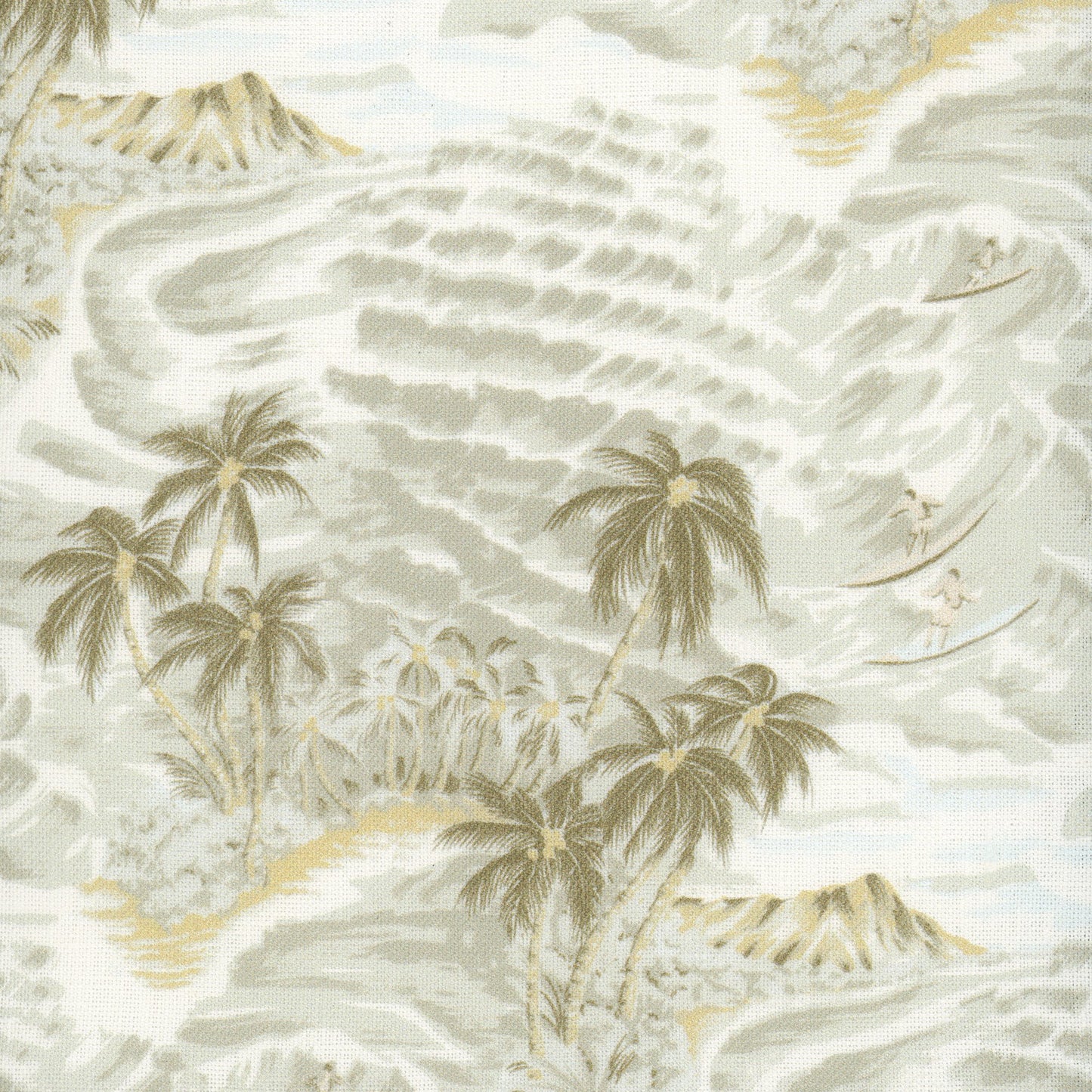 Hawaii - Moss