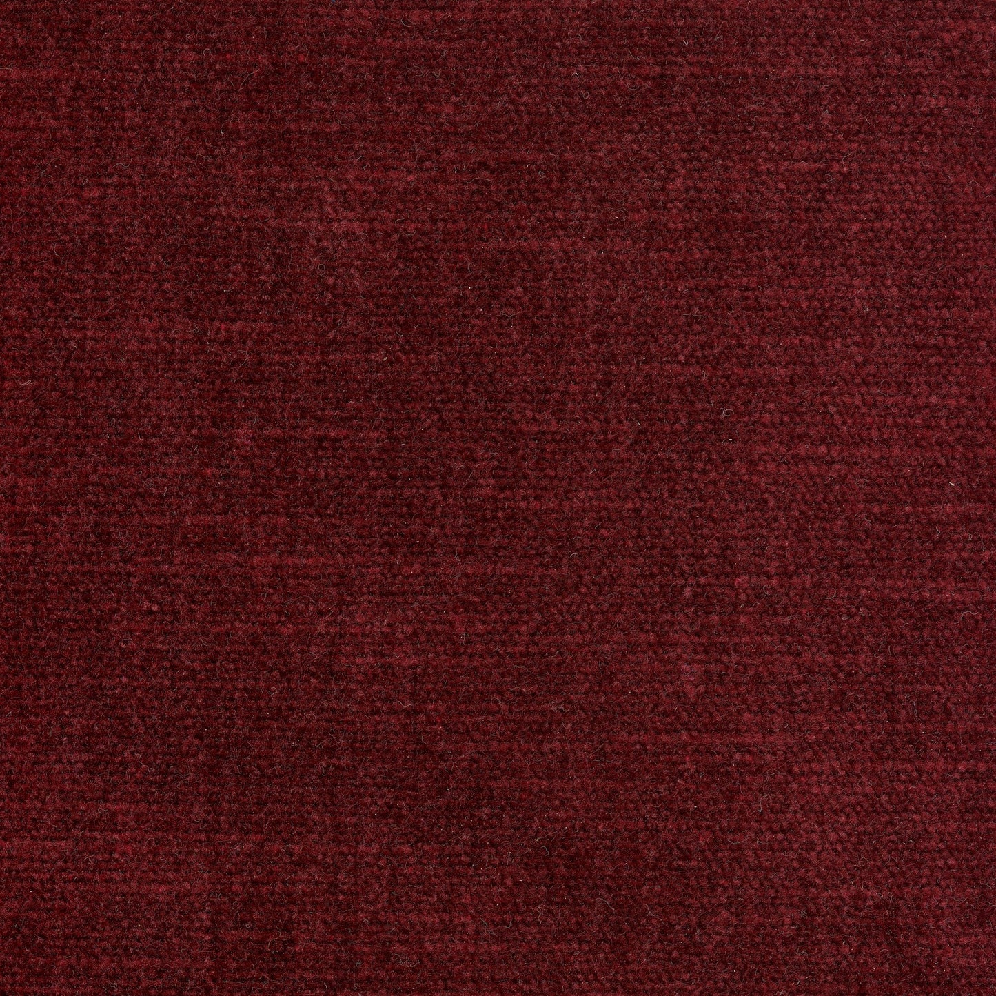 Velvet - Beetroot (Rhubarb)