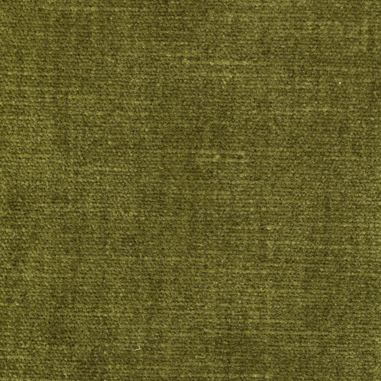 Velvet - Eucalyptus (Moss)