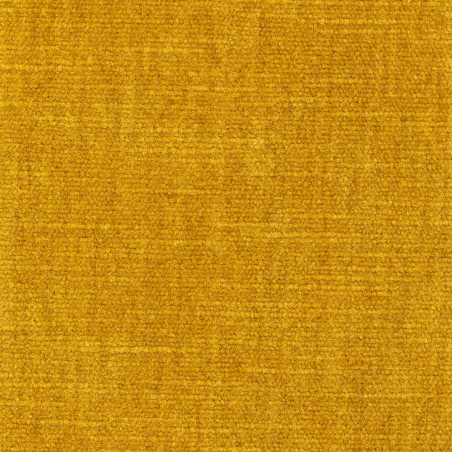 Velvet - Wattle (Honey)
