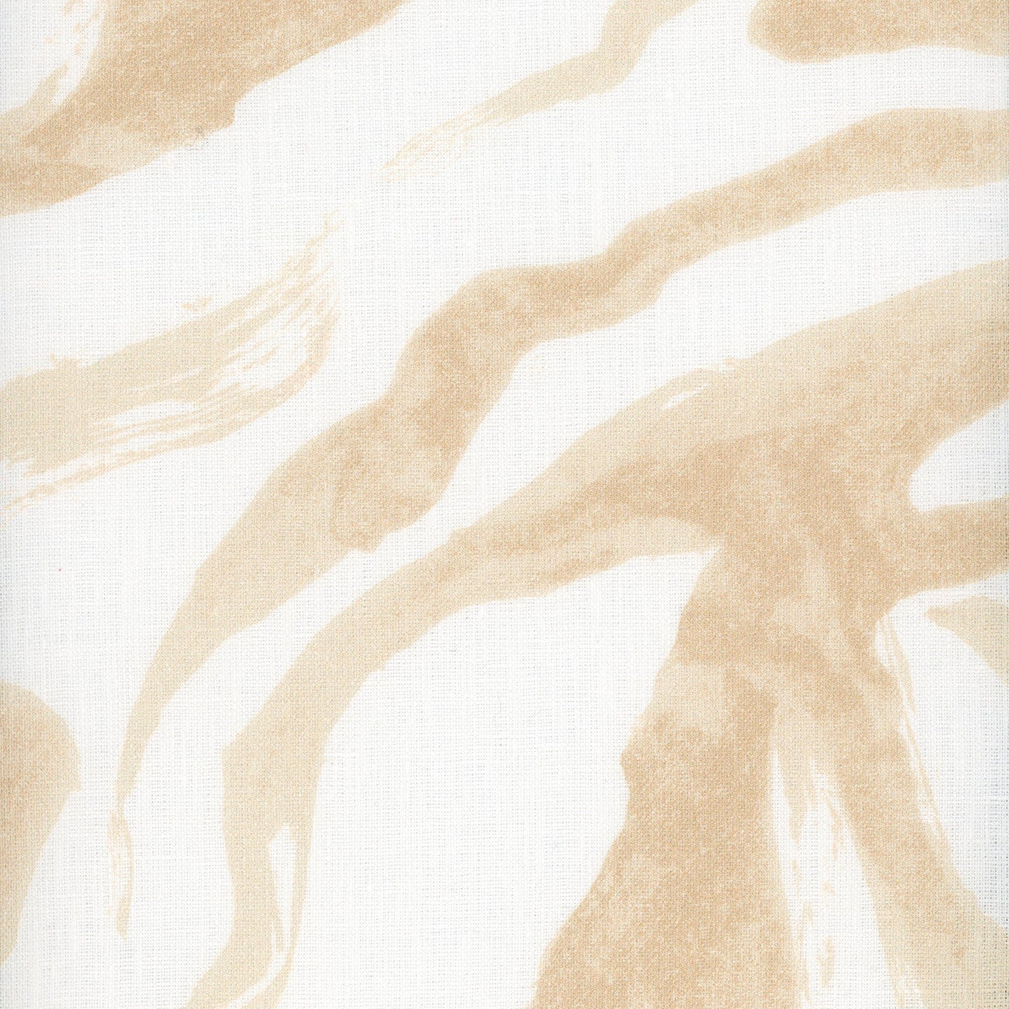 Zebra - Sand