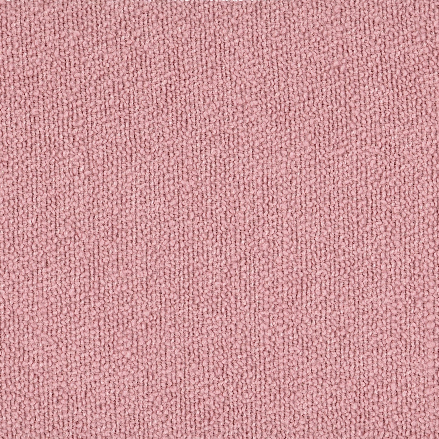Boucle - Dusty Pink