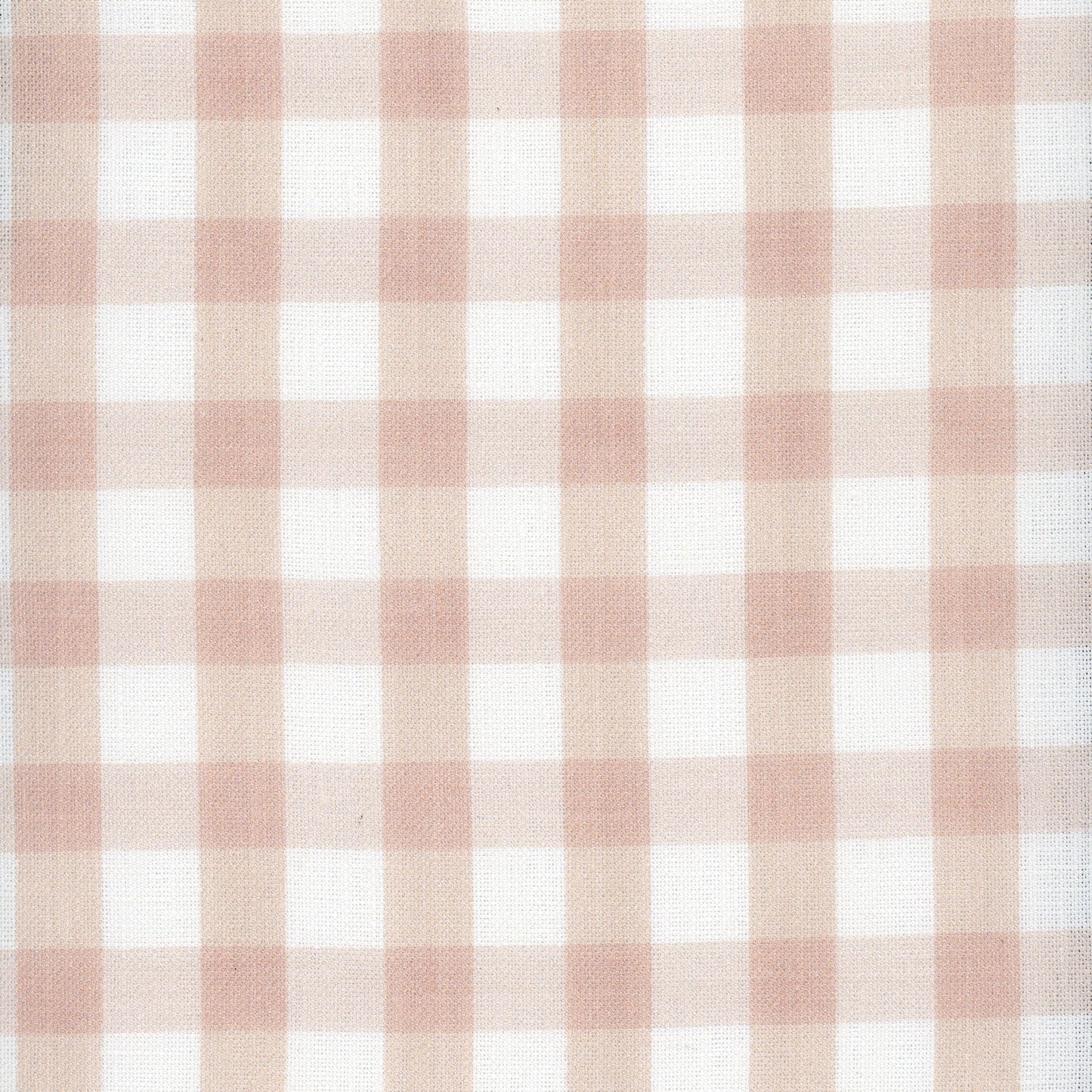 Painted Gingham - Grapefruit