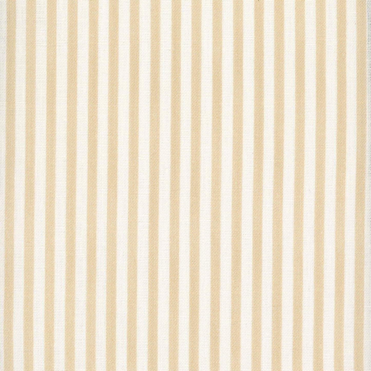 Painted Pin Stripe - Sand
