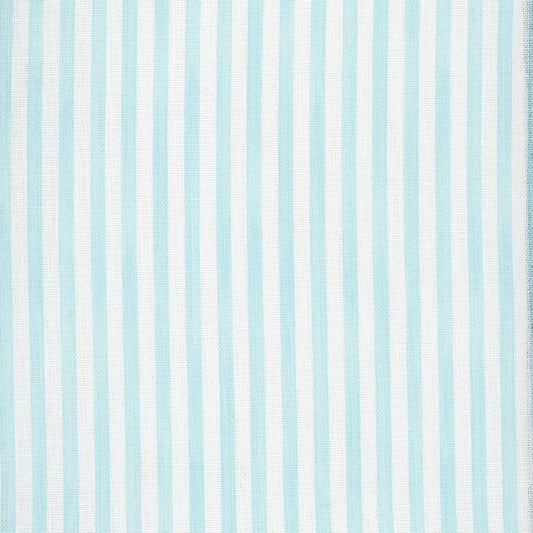 Painted Pin Stripe - Sky