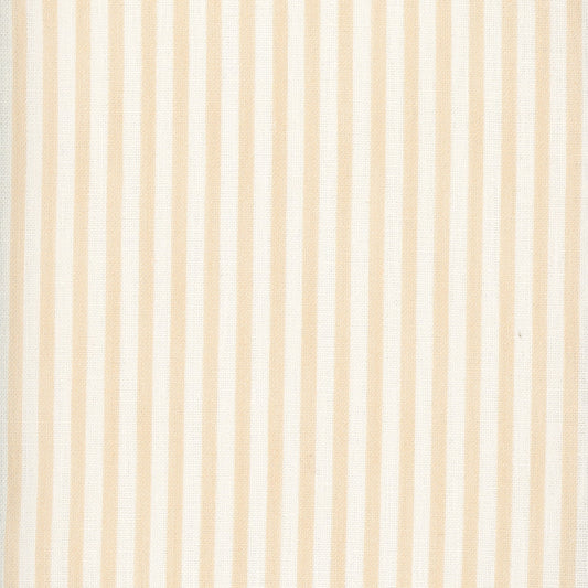 Painted Pin Stripe - Sorbet