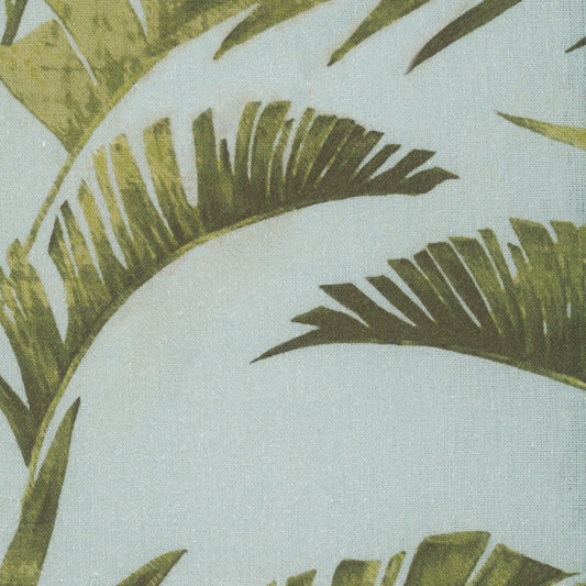 Palms - Sea Spray