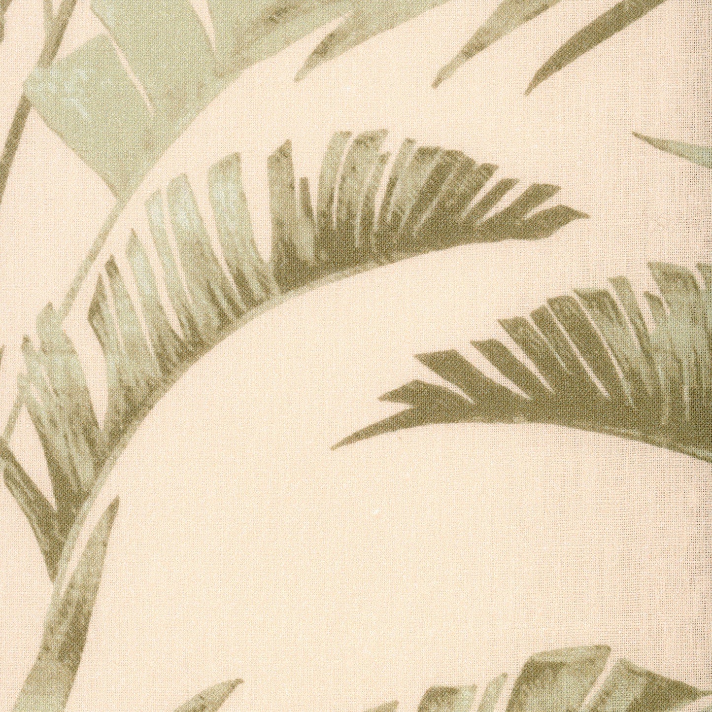 Palms - Sorbet