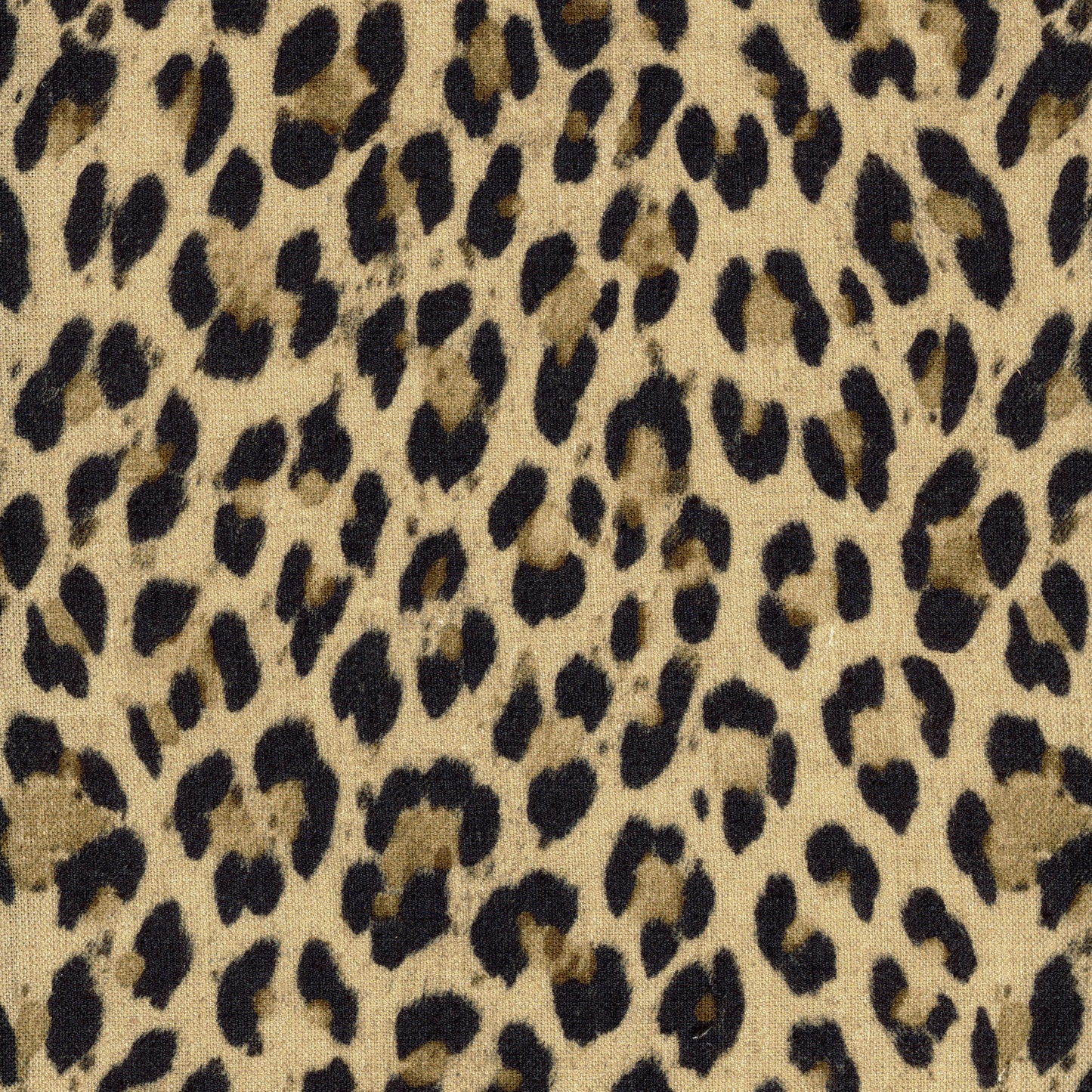 Leopard - Honey