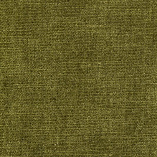 Velvet - Eucalyptus (Moss)