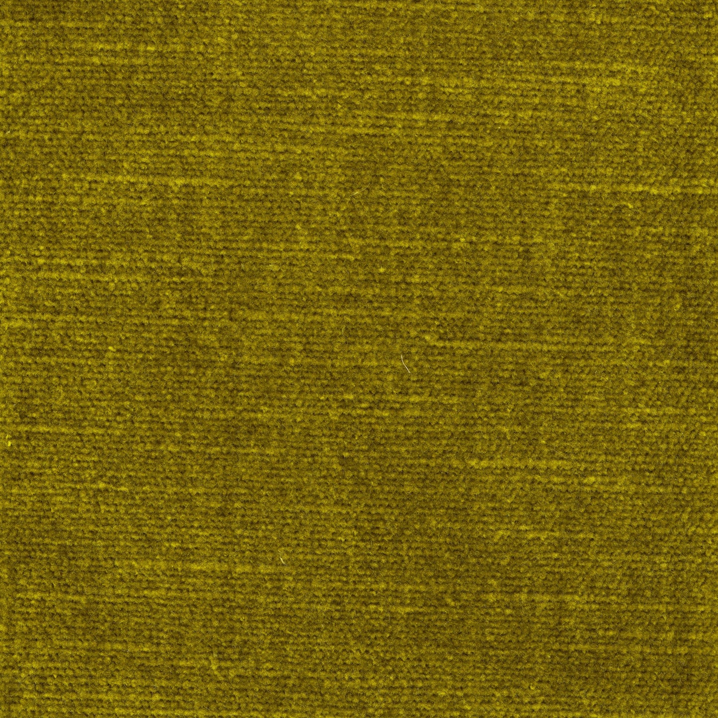 Velvet -Willow (Lichen)