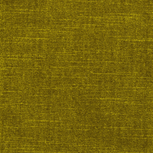 Velvet -Willow (Lichen)