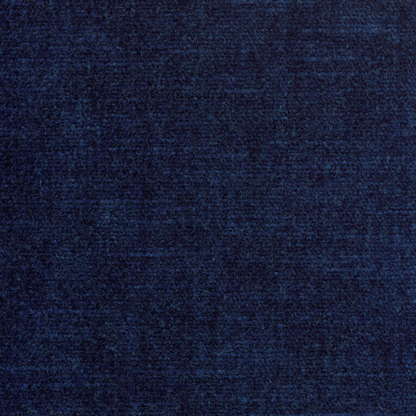 Velvet - Navy (Navy)