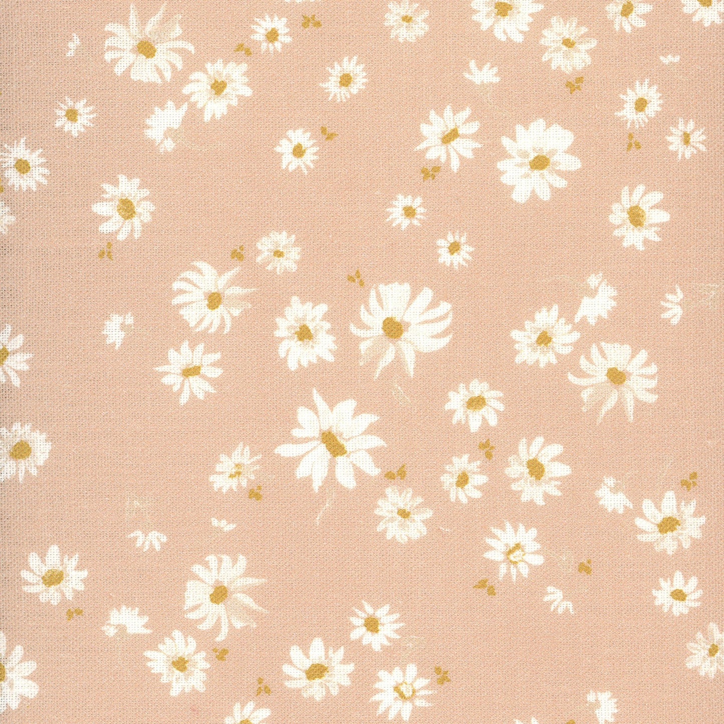 Wild Daisy - Clay