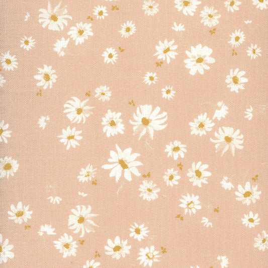 Wild Daisy - Clay