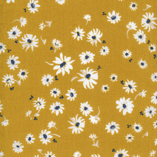 Wild Daisy - Mustard