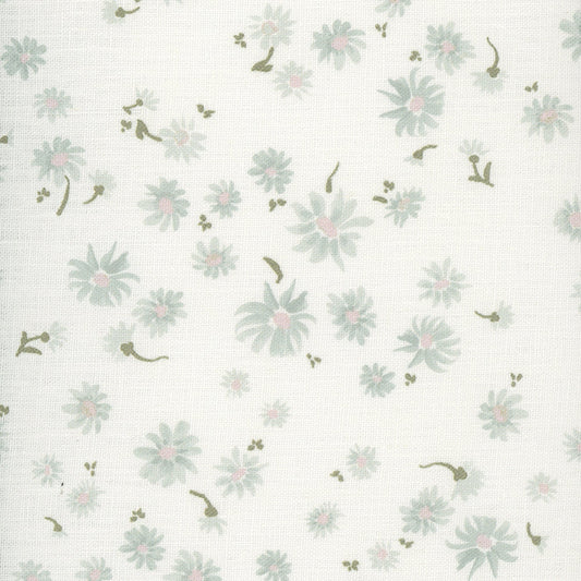 Wild Daisy - Seaspray